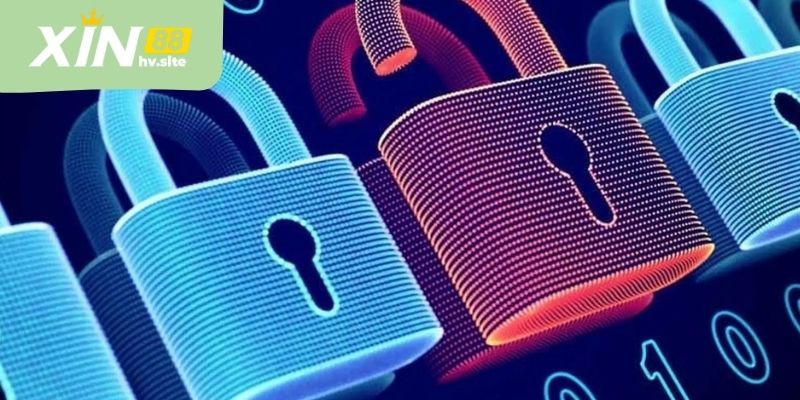 Bật mí chi tiết những lỗi hội viên thường gặp khi đăng nhập XIN88