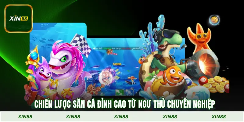 Chiến lược săn cá đỉnh cao từ ngư thủ chuyên nghiệp