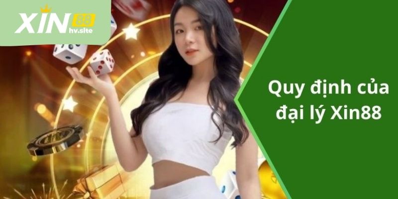 Chính sách quyền lợi và trách nhiệm đại lý