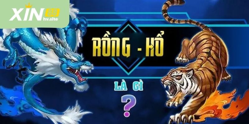 Lợi ích nổi bật khi chơi rồng hổ online