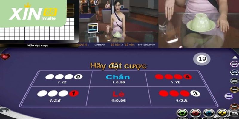 Các kiểu cược xóc đĩa 88 hiển thị rõ ràng, dễ thao tác